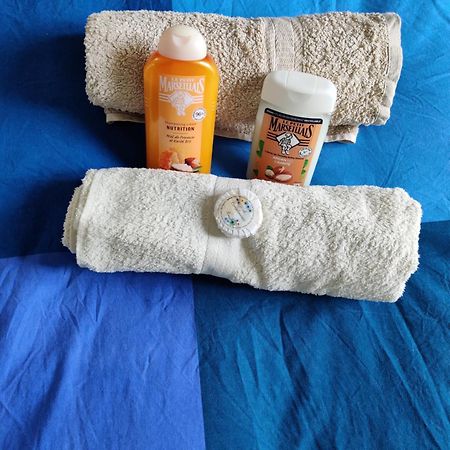 Petit Nid En Alsace Studio Independant Avec Salle De Douche Privative Buschwiller Екстериор снимка