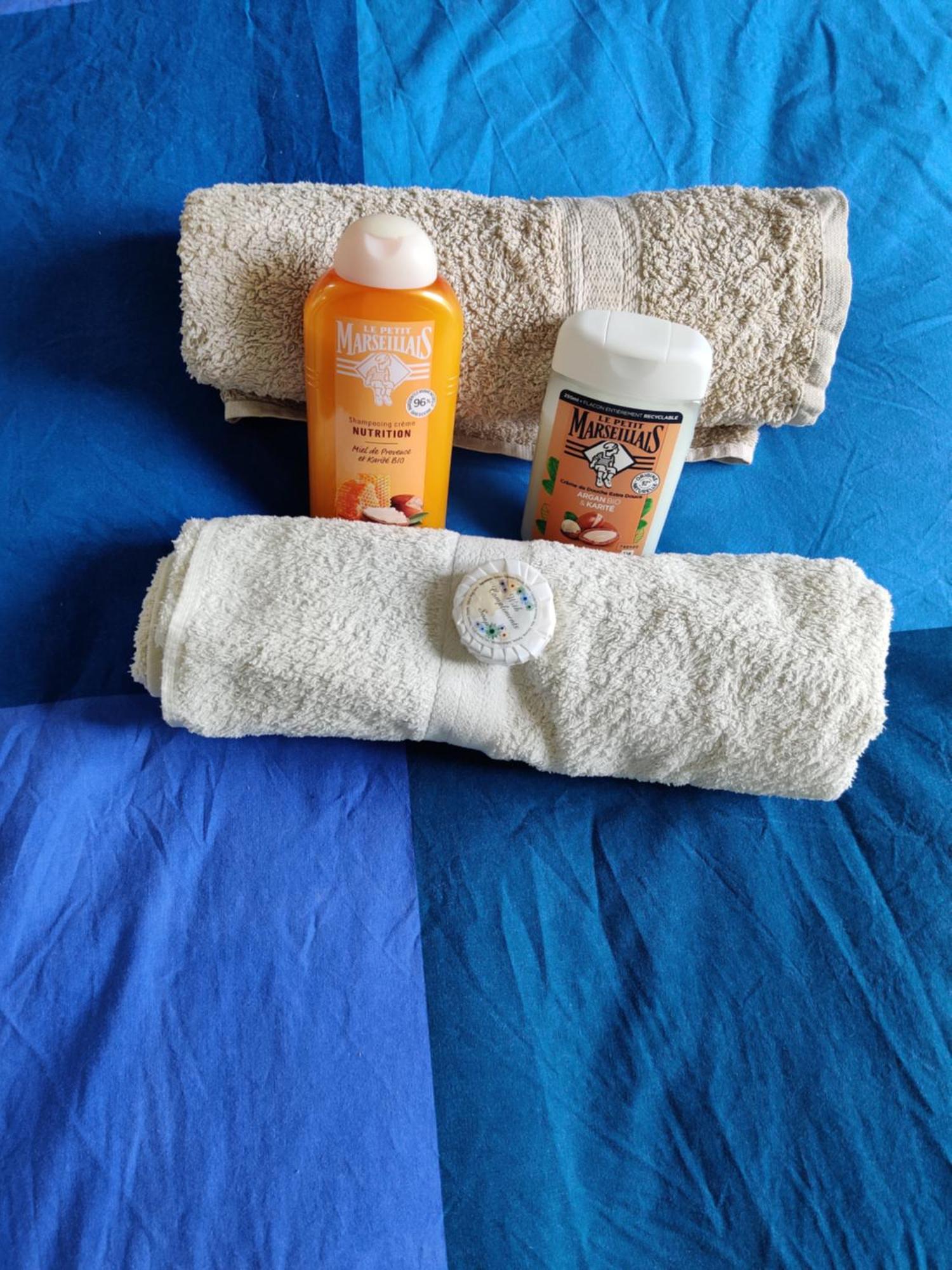 Petit Nid En Alsace Studio Independant Avec Salle De Douche Privative Buschwiller Екстериор снимка